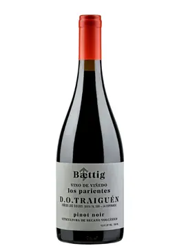 Baettig Los Parientes Pinot Noir 2021 750ml bottle